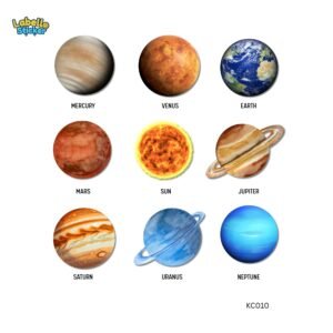 elegant rose rustic rose kiss cut stickers | floral stickers for scrapbooking & planners