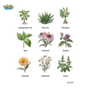 medicinal hebs3 (copy)